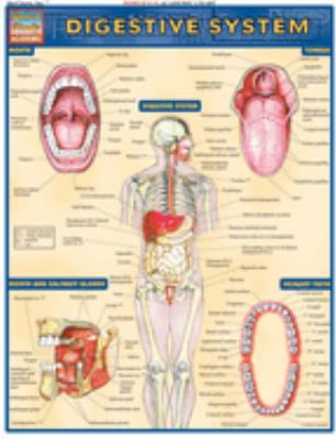 DIGESTIVE SYSTEM